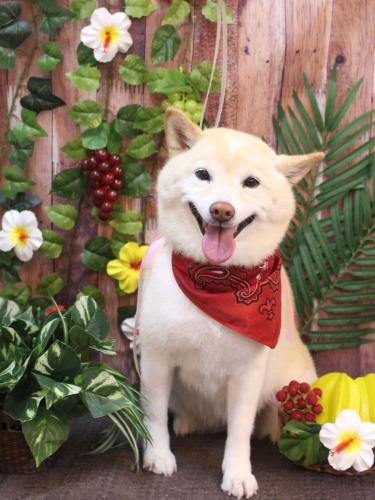 20230801メイちゃん